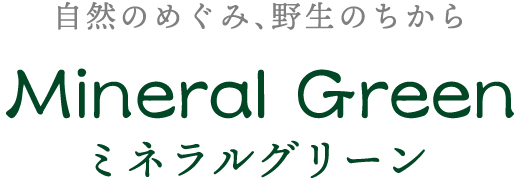 体内貯金を増やして痩せ力・免疫力維持のサポートを。エイジングケアなら弊社へ
